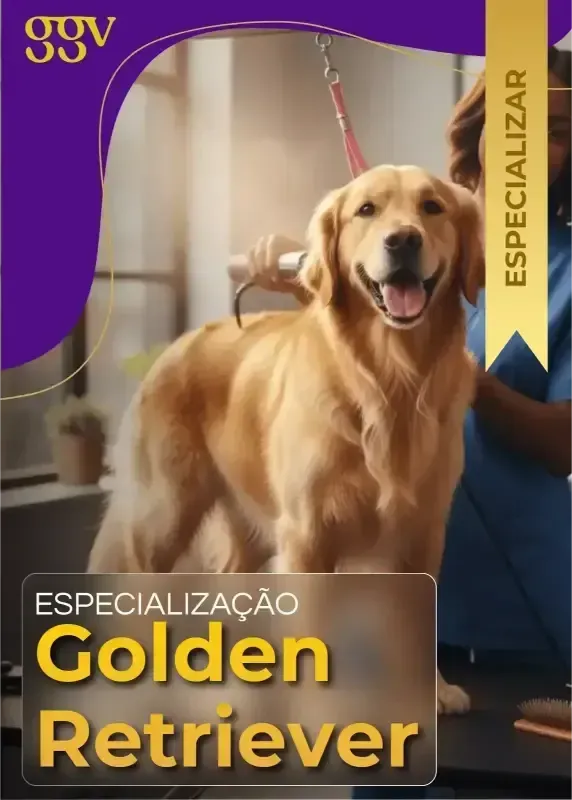 Tosa Golden Retriever