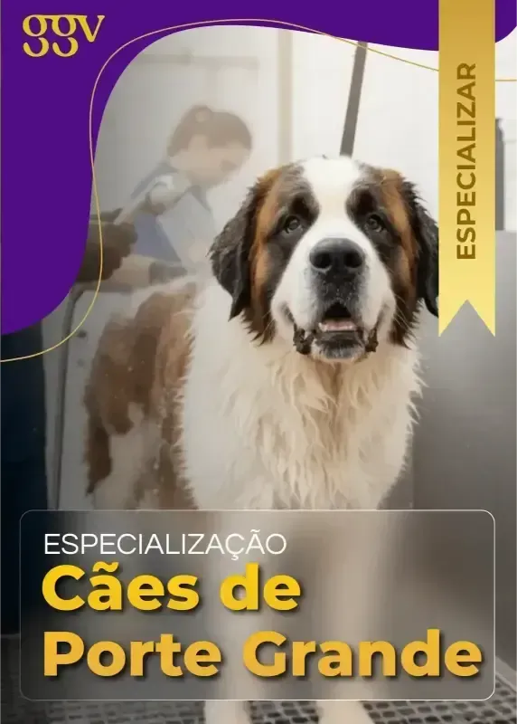 Tosa Cocker Spaniel