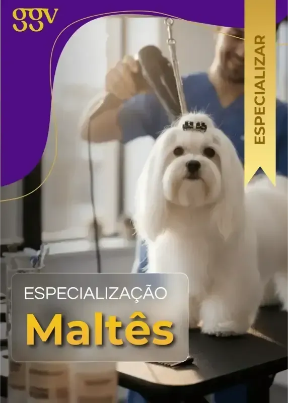Tosa Maltês