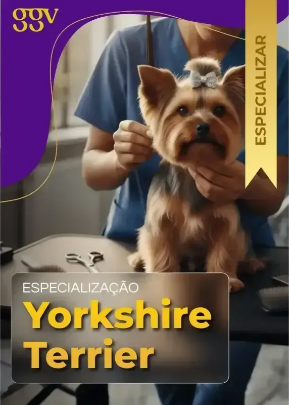 Tosa Lhasa Apso