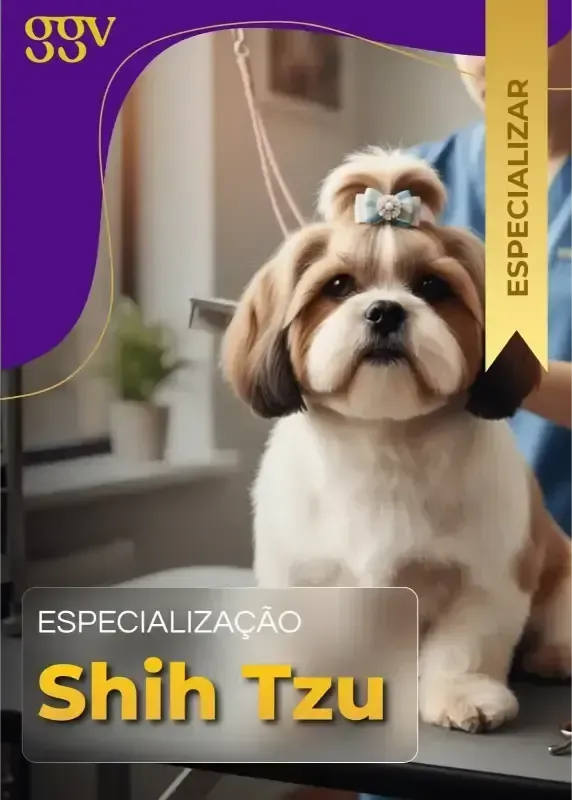 Tosa Bichon Frisé