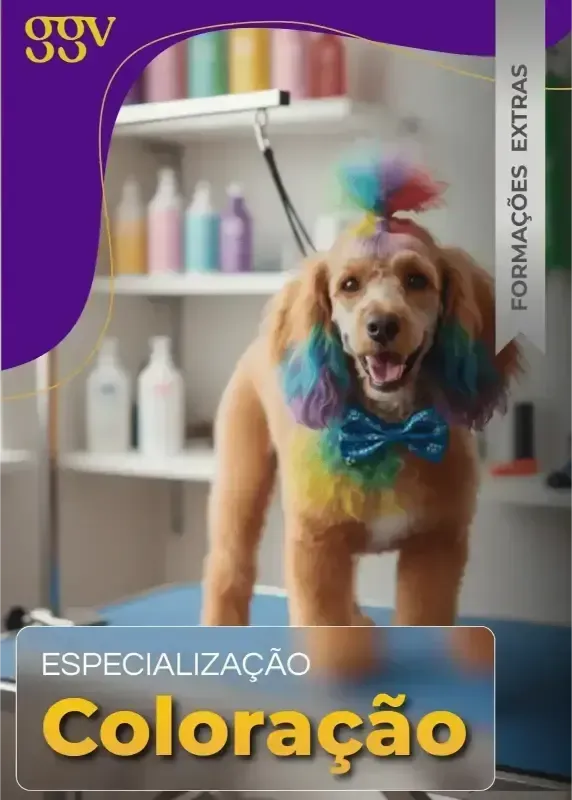 Formação extra 2