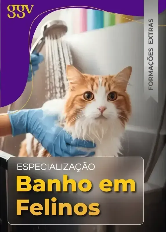 Formação extra 4