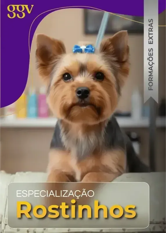 Formação extra 5