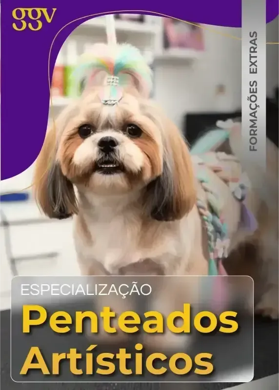 Formação extra 6