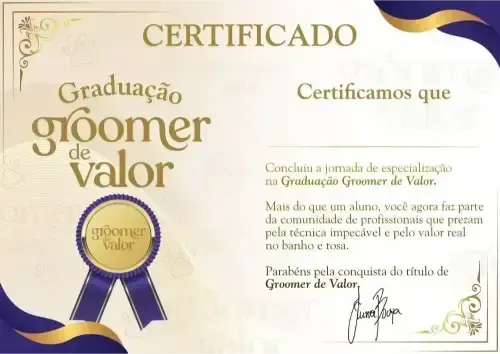 Certificado Junior Borja